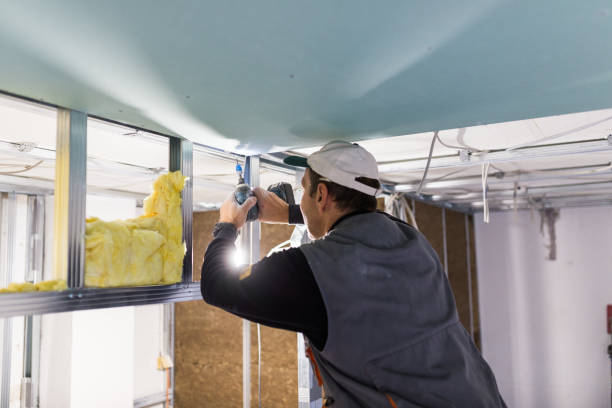 Best Commercial Insulation in West Liberty, KY