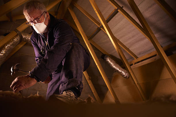 Best Cellulose Insulation in West Liberty, KY